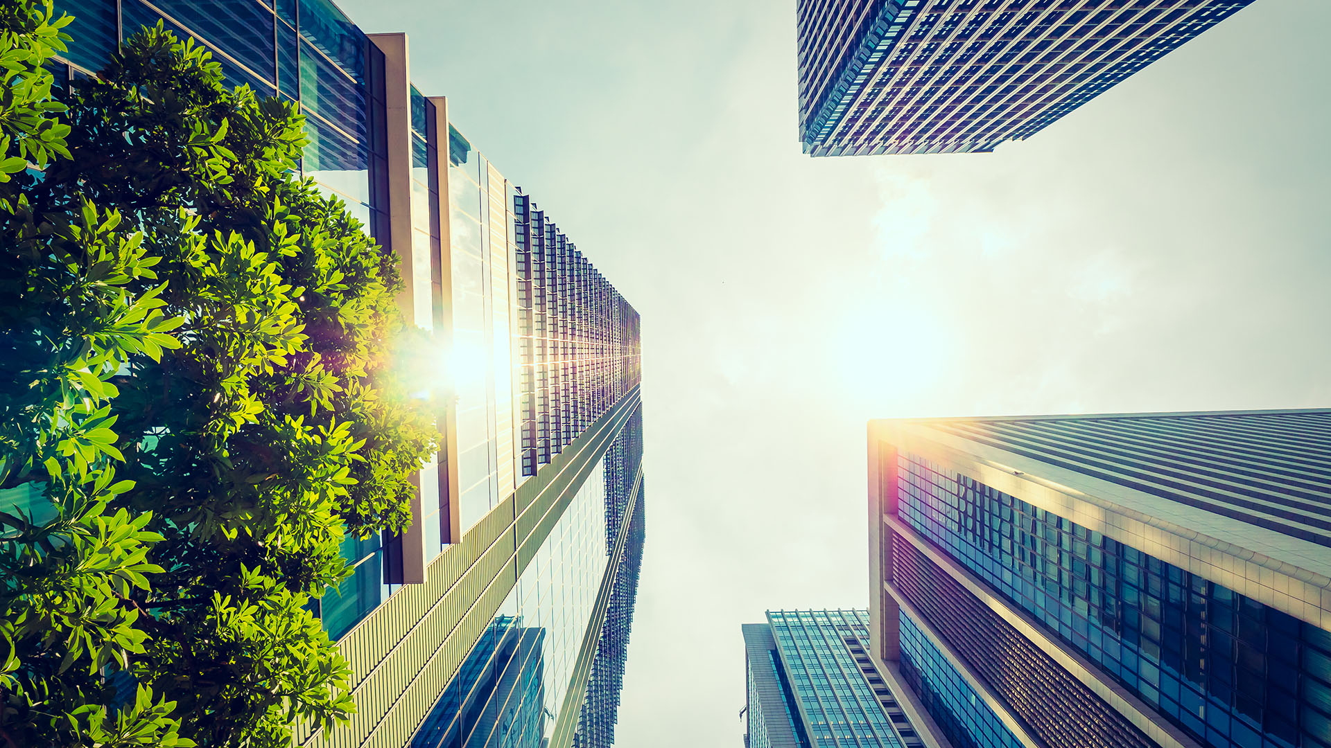 Building a greener future – the vital role of MEP consultants in sustainable buildings